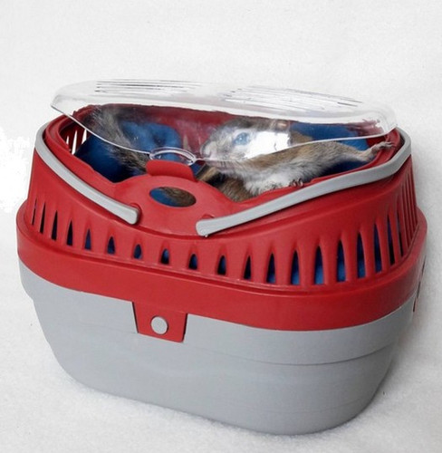 Zolux Pet Carrier Transporter for Rodents, mini, red