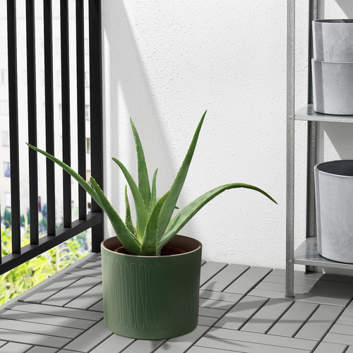 GINNALALÖNN Plant pot, in/outdoor green, 19 cm