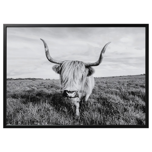 BJÖRKSTA Picture with frame, curious cow/black, 140x100 cm