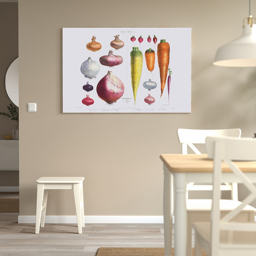 PJÄTTERYD Picture, Onions, radishes and carrots, 118x78 cm