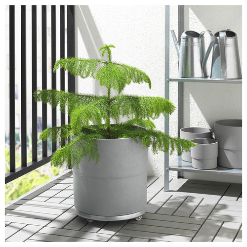 NYPON Plant pot, indoor/outdoor, grey, 32 cm