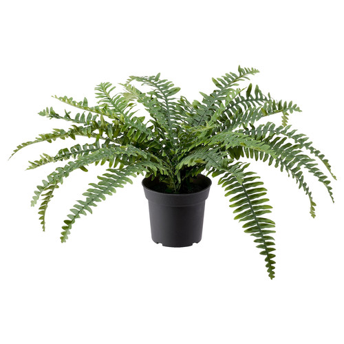 FEJKA Artificial potted plant, in/outdoor fern, 15 cm