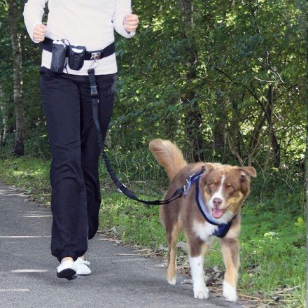 Trixie Waist Belt with Dog Leash Hands Free for Dogtrekking