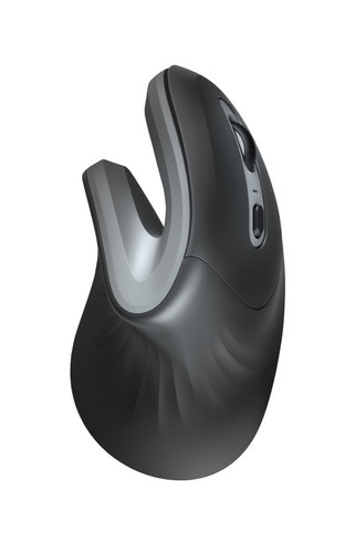 Trust Wireless Optical Mouse Verro Ergonomic