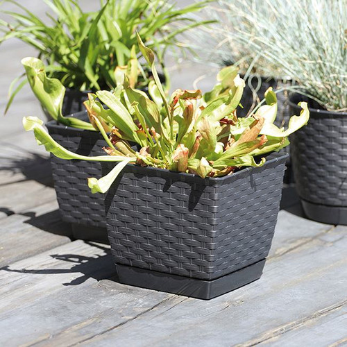 Plant Pot Ratolla 22 cm, anthracite