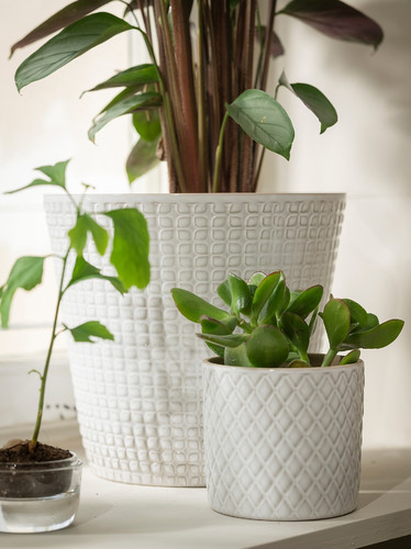 CHIAFRÖN Plant pot, white, 9 cm