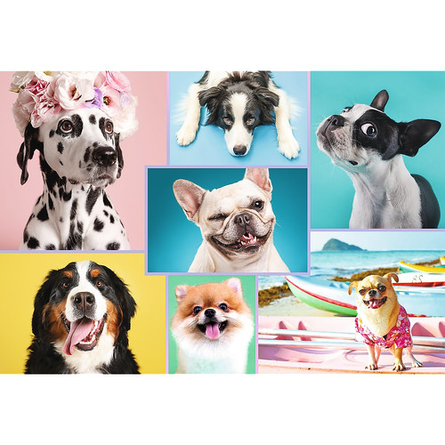 Trefl Jigsaw Puzzle Sweet Dogs 1500pcs 12+