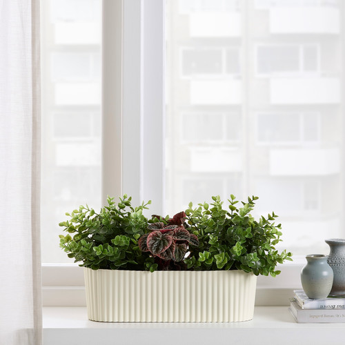 ÄPPELROS Plant pot, in/outdoor/off-white oval, 9 cm