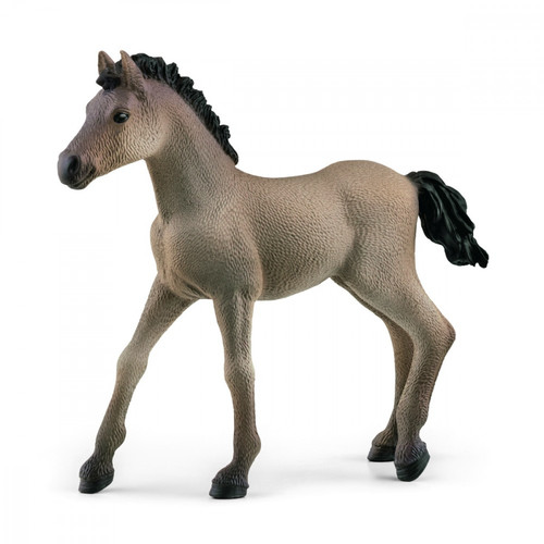 Schleich Foal of the Criollo Breed Definitivo 5+