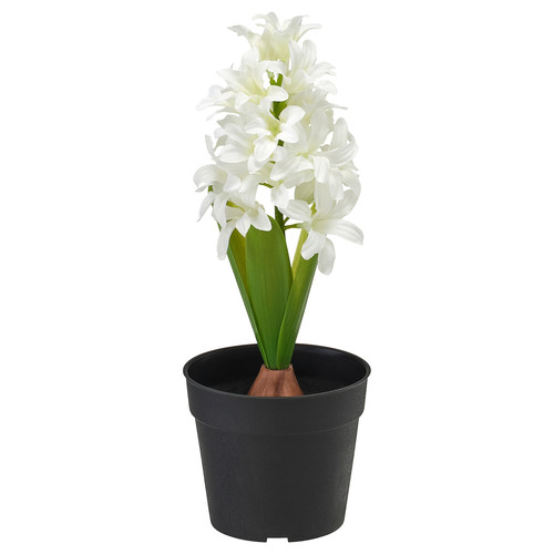 VINTERFINT Artificial potted plant, in/outdoor Hyacinth/white, 9 cm