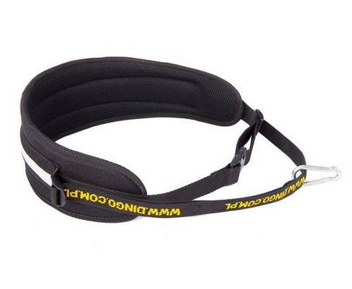 Dingo Belt for Running with Dog, 4 variants