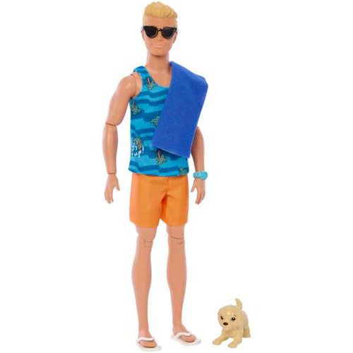 Barbie Doll Ken with Accessories HPT50 3+