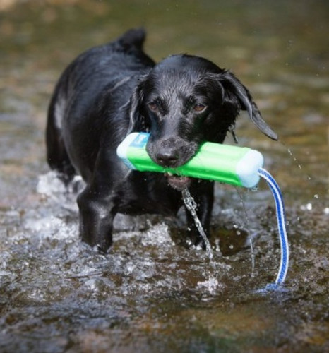 Chuckit! Amphibious Bumper Medium Dog Toy, assorted colours