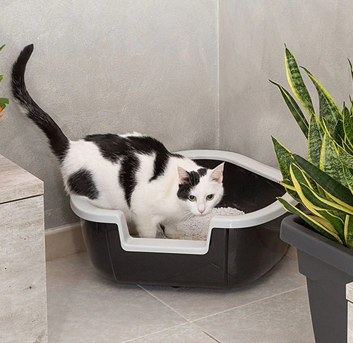 Ferplast Cat Litter Box, assorted colours