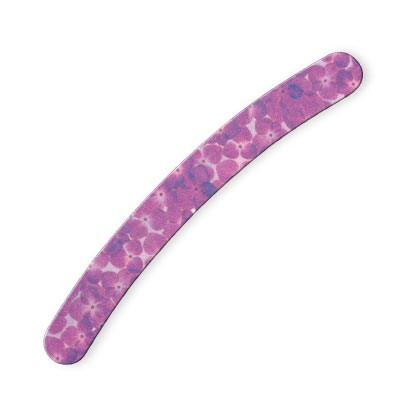 Nail Care Curved Nail File (7453)