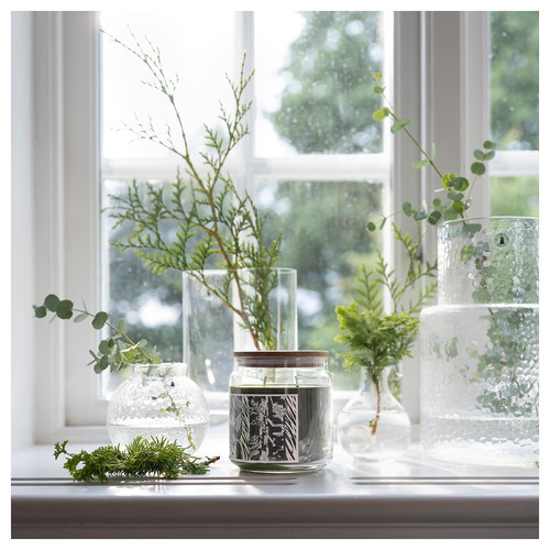 JÄMTSKOGEN Scented cndl in glass w lid/2 wicks, cypress & eucalyptus/dark green, 70 hr