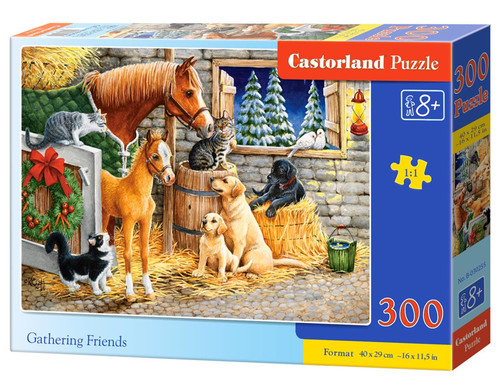 Castorland Children's Puzzle Gathering Friends 300pcs 8+