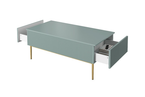 Coffee Table with 2 Drawers Nicole, sage/gold legs