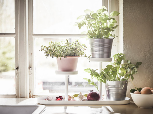 CHILISTRÅN Plant stand, white, 24 cm