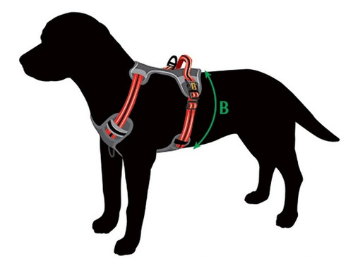 Dingo Anti-Pressure Dog Harness Dynamic S, black