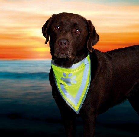 Safety Dog Bandana L-XL 60x43cm