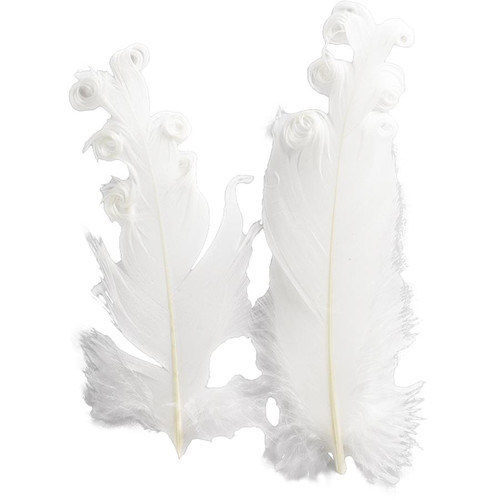 Decorative Feathers Curly 6pcs, white