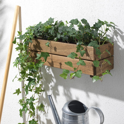 STJÄRNANIS Flower box, outdoor acacia, 43x15 cm