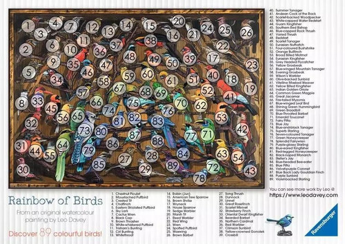 Ravensburger Jigsaw Puzzle Bird World 1000pcs 14+