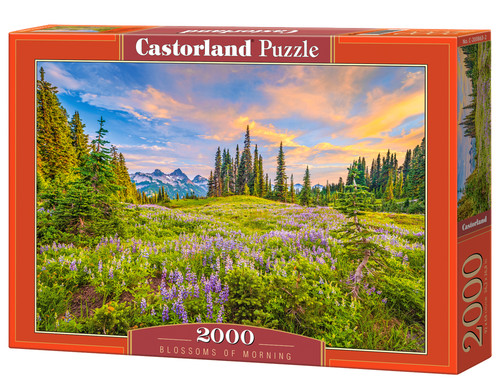 Castorland Jigsaw Puzzle Blossoms of Morning 2000pcs 9+