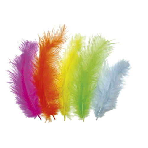 Decorative Feathers 25pcs