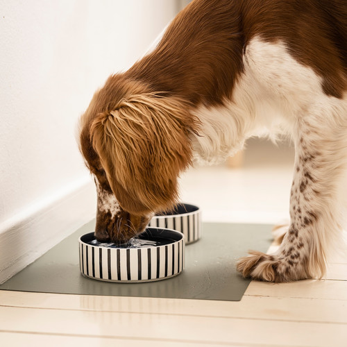 UTSÅDD Pet bowl, stripe pattern black-blue/dark blue, 15 cm