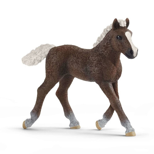 Schleich Black Forest Foal 3+