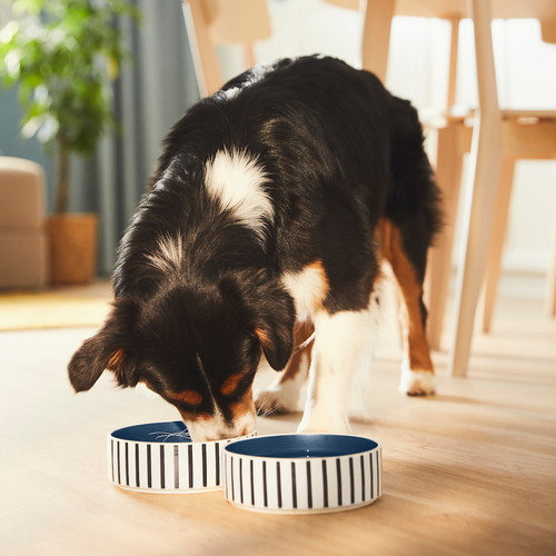 UTSÅDD Pet bowl, stripe pattern black-blue/dark blue, 15 cm