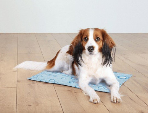 Trixie Cooling Mat 40x30cm, light blue