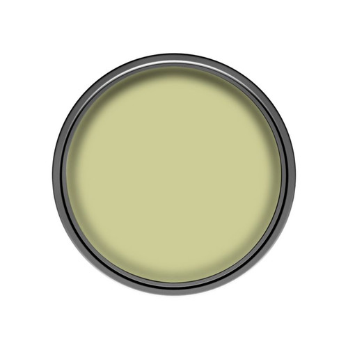 Dulux EasyCare Matt Latex Stain-resistant Paint 2.5l openly olive