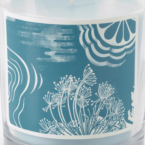 BUKETTAPEL Scented candle in glass, bergamot & cedarwood/pale green, 45 hr