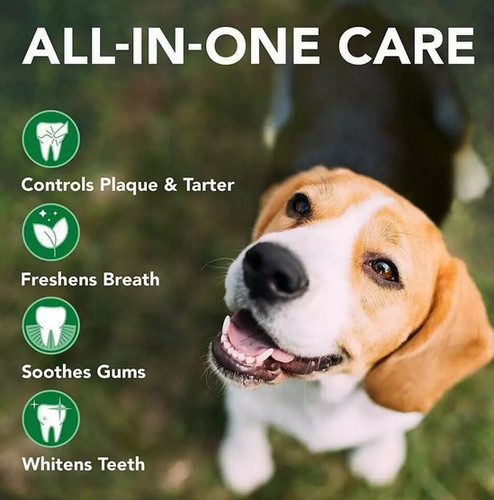 Vet's Best Dental Care Kit for Dogs Adult