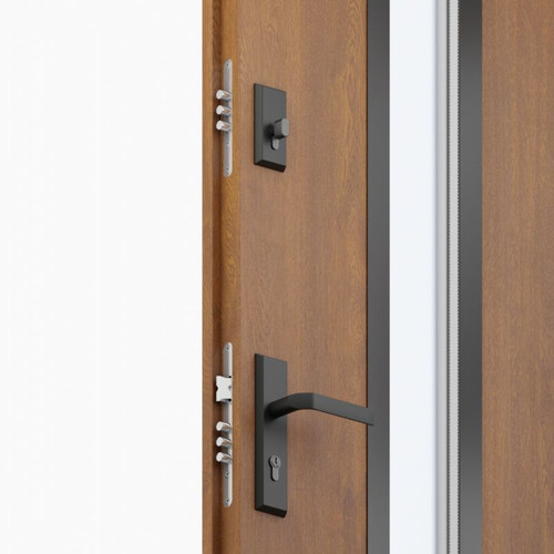 External Door O.K. Doors Temida Black P55 90, left, gold oak