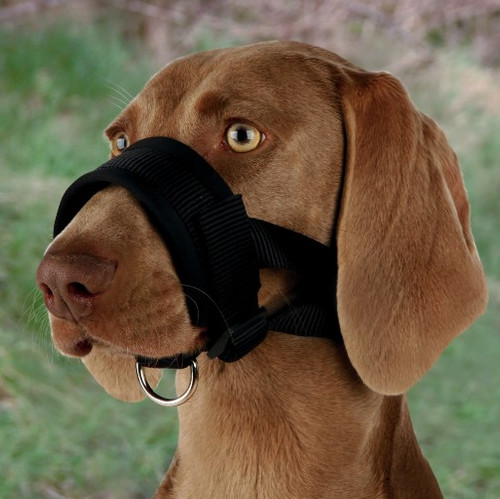 Trixie Muzzle Loop XL