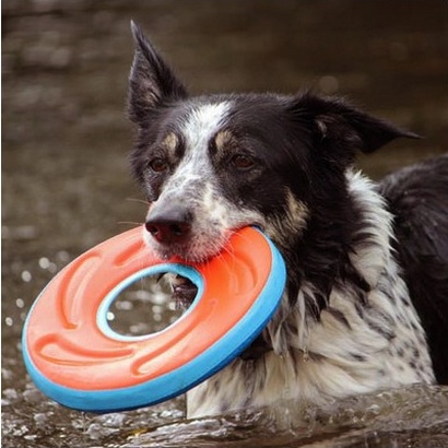 Chuckit! Zipflight Dog Toy 21cm, assorted colours