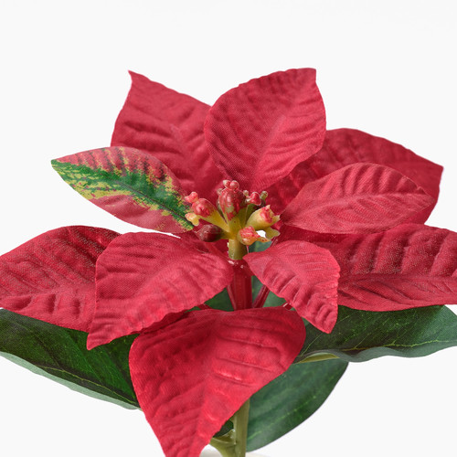 VINTERFINT Artificial potted plant, in/outdoor Poinsettia/red, 6 cm