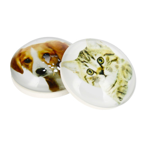 Glass Motiv Magnet 3.5cm 2pcs Cat/Dog