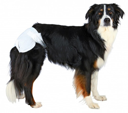 Trixie Diapers for Female Dogs M 12pcs
