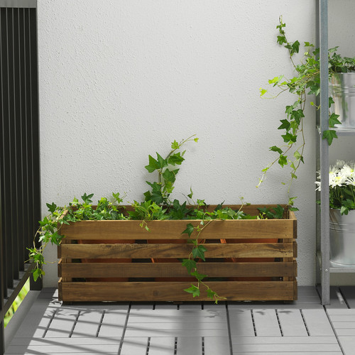 STJÄRNANIS Flower box, outdoor acacia, 75x27 cm