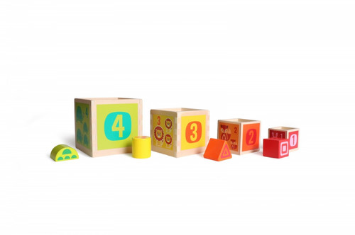 iWood Wooden Shape Sorter Cubes 12m+