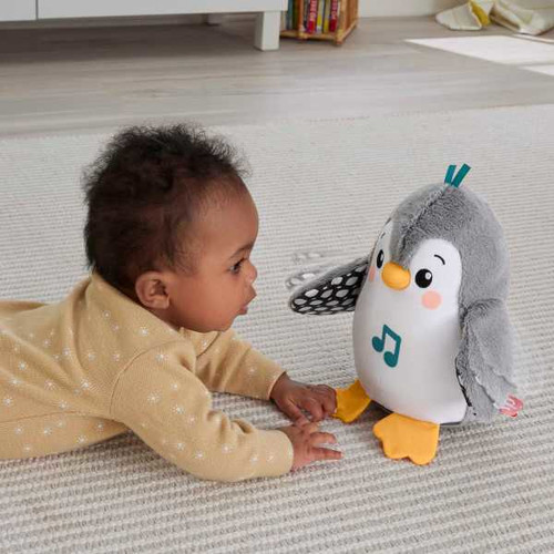 Fisher-Price Plush Tummy Time Toy, Flap & Wobble Penguin HNC10 0+