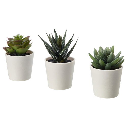 FEJKA Artificial potted plant with pot, in/outdoor Succulent, 6 cm 3 pack