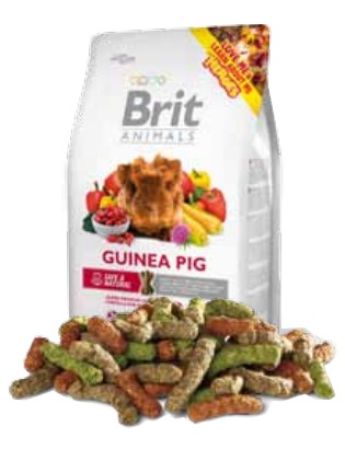 Brit guinea cheap pig food